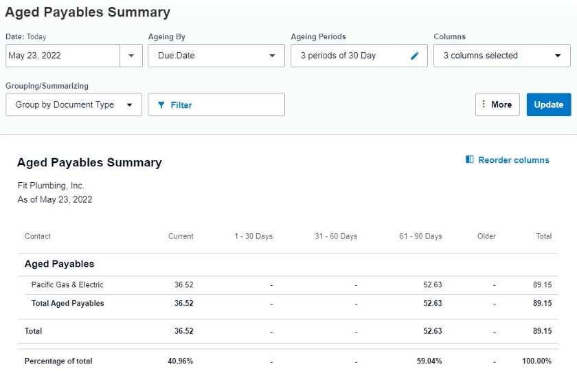 Short Video on Aged Payables Summary report options in Xero.
