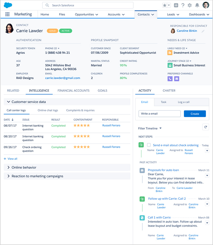 Salesforce customer profile information sample.