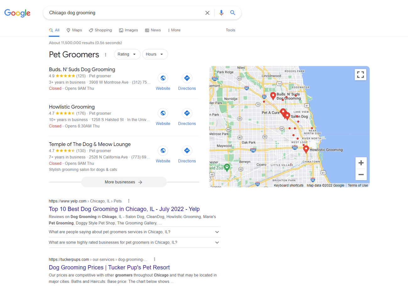 Resultados de pesquisa de SERPs principais do Google para alojamento de cães em chicago.