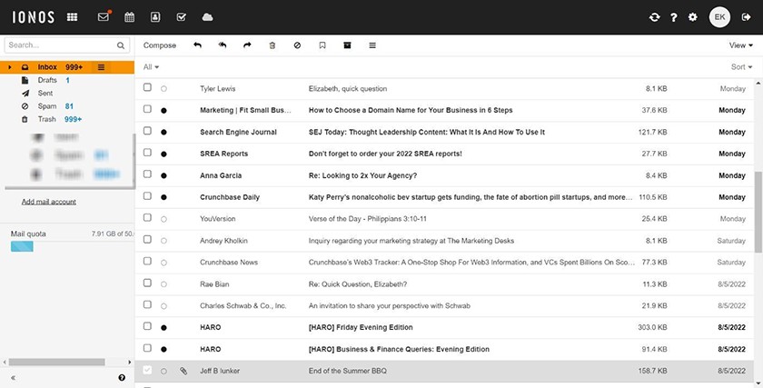 IONOS web-based email interface.