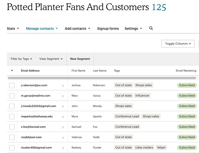 MailChimp lead segment list management tool.