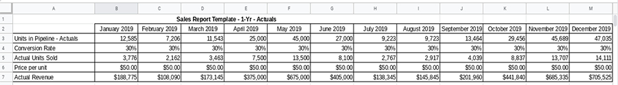 One year revenue report spreadsheet sample.