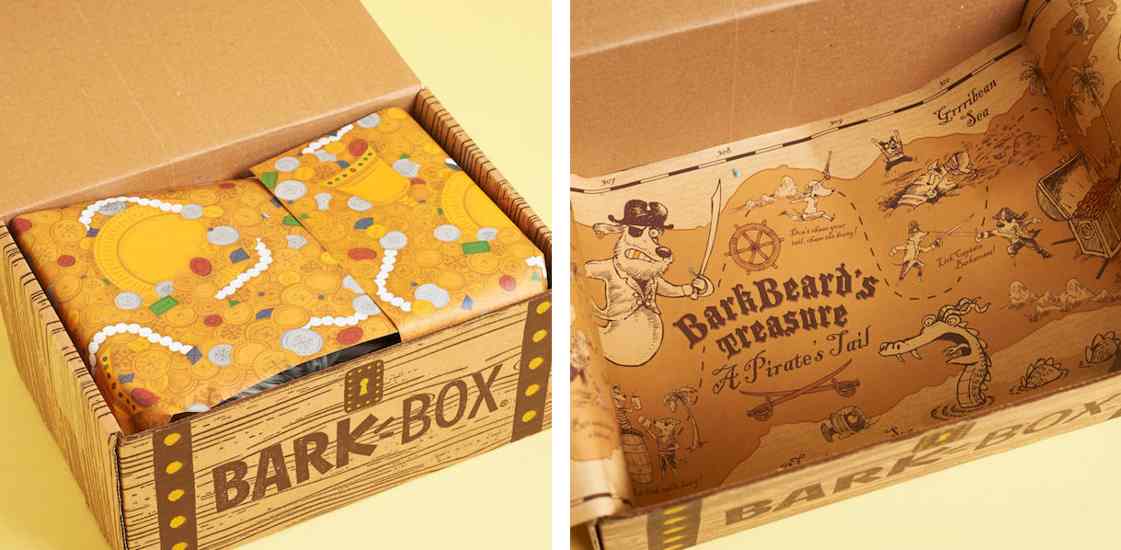 BarkBox custom packaging design.