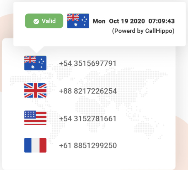 CallHippo sample Global Connect numbers.