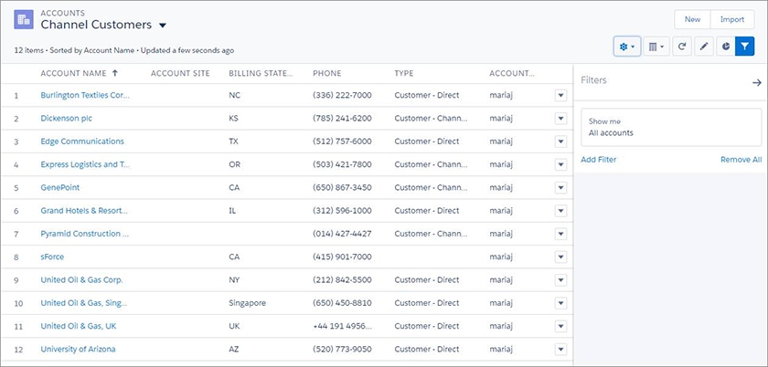 Salesforce accounts dashboard for channel customers.