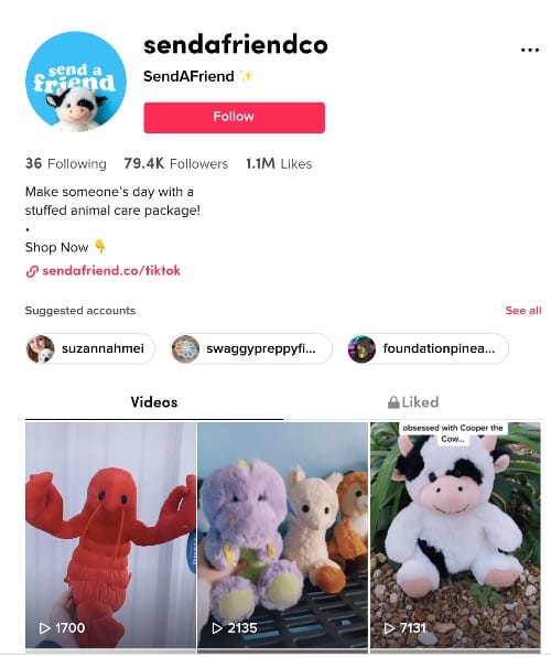 sendafriendco TikTok profile.