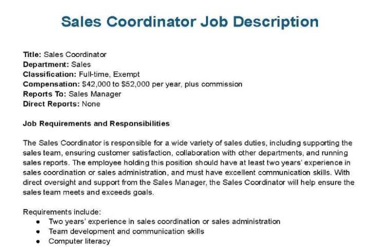 Sales Coordinator Job Description Free Template How To Write Hiring   Thumbnail Sales Coordinator Job Description Template 730x481 