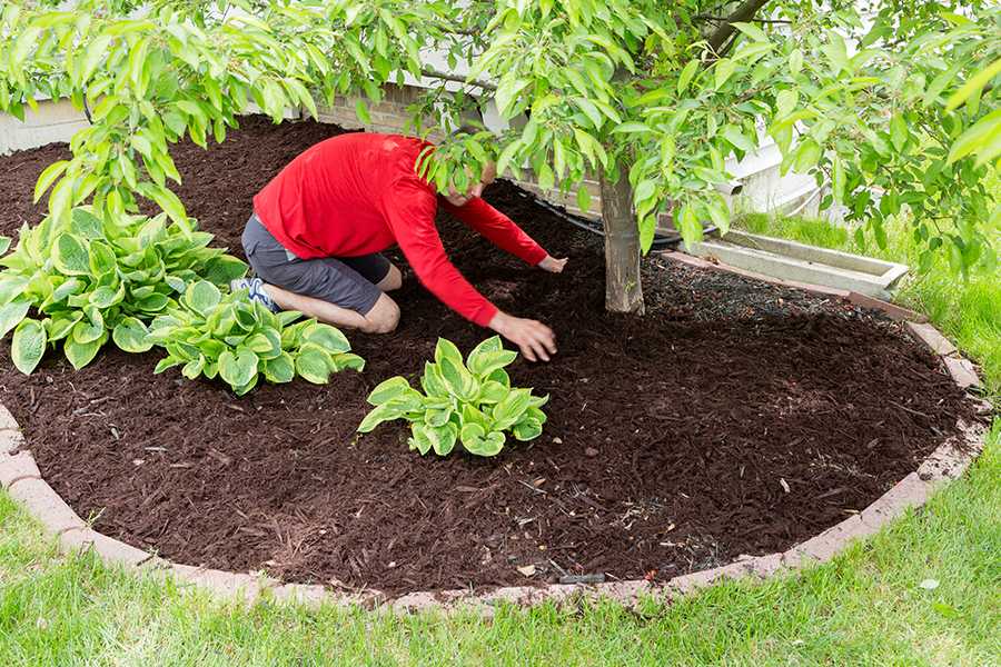 A gardener landscaping in the garden.