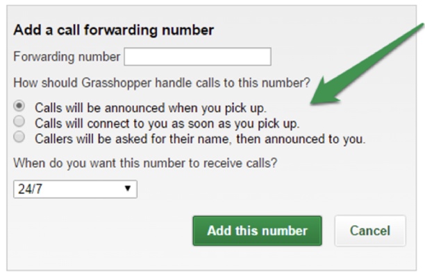 Screenshot of the pop up options for adding a call forwarding number.