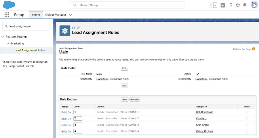 An example of Salesforce lead assignment rules configuration.