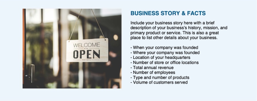 Business story and facts section of the press kit template