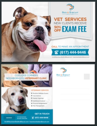 Contest winning design for a postcard to promote a local veterinary practice