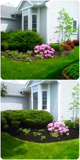 Flower beds beside a house before and after adding new mulch