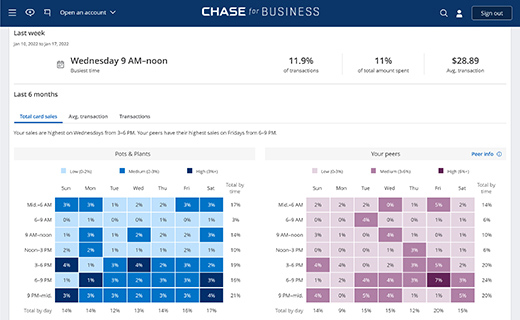 Chase customer insights dashboard with sample customer purchasing habits data.
