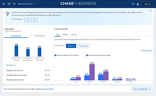 Chase customer insights dashboard with sample customer purchasing patterns data.