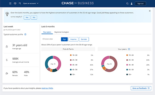 Chase customer insights dashboard with sample demographic data.