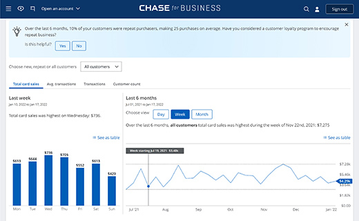 Chase customer insights dashboard with sample sales data.