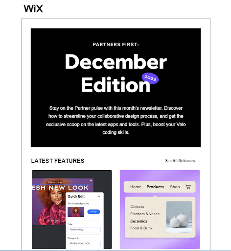 Screenshot of Wix newsletter email