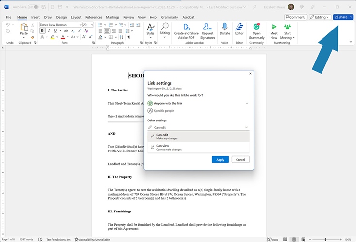 Screenshot of Microsoft Word sharing options
