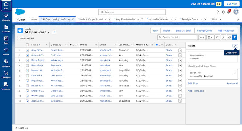 An example of Salesforce's lead management tab showing open leads and filter options.