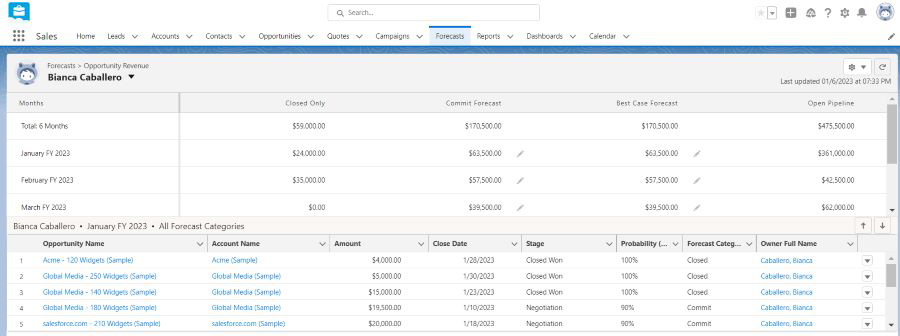 Screenshot of Saelsforce's tab for sales forecasts.