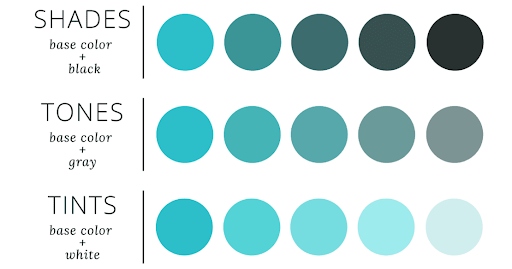 variation of shades, tones, and tints of a single hue