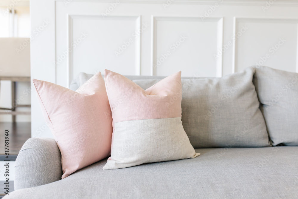 Two pillows placed on a couch.