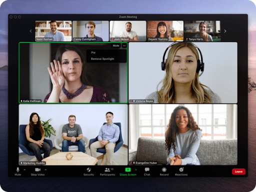 Screenshot with attendees of a video conference call