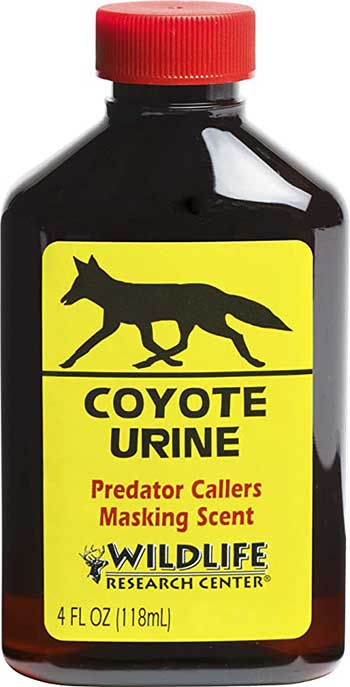 Coyote urine.