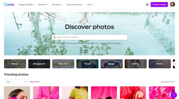 15 Best Places to Get Free Images for Website Design