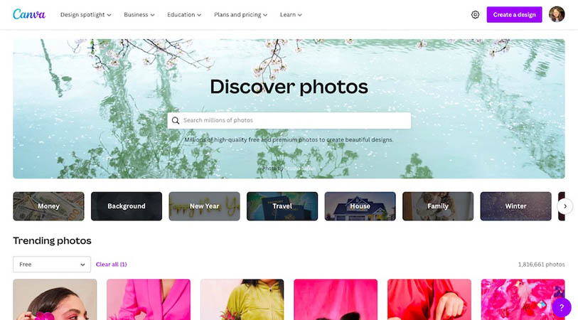 Interface of Canva's home page