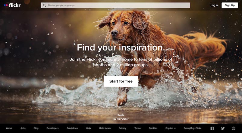 Screenshot of Flickr's home page