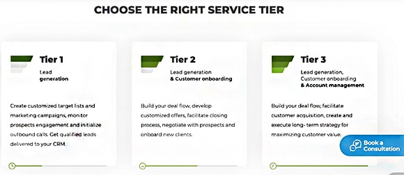 A screenshot of Martal Group's tiered services
