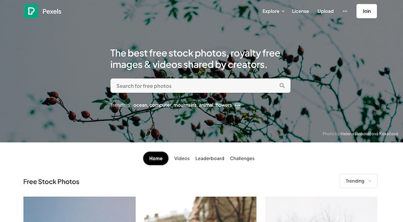 Interface of Pexels' home page