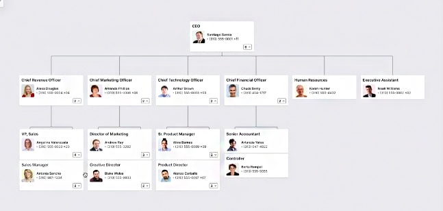 A screenshot of Pingboard's org chart.