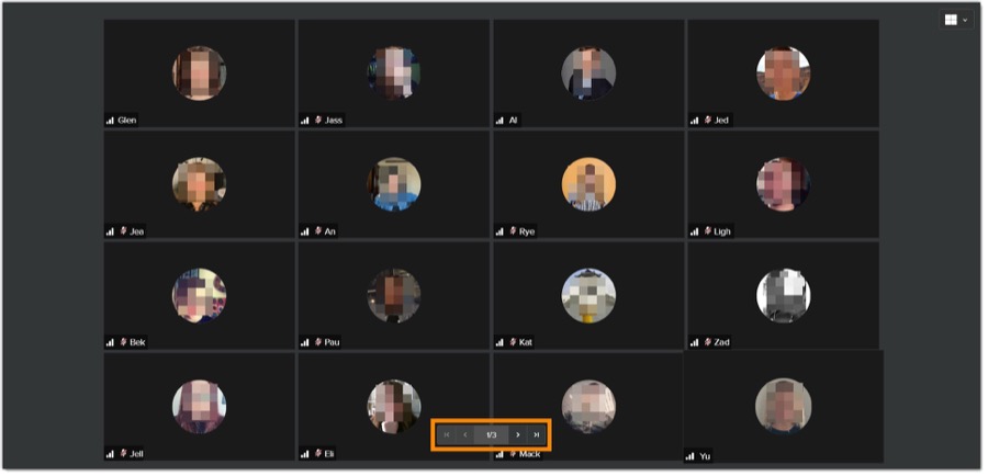 Screenshot of an ongoing meeting with 16 simultaneous participant viewing.