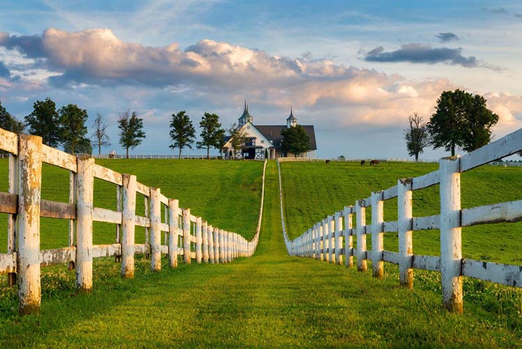 Image of a Farm Property on a Country Road in Kentucky.