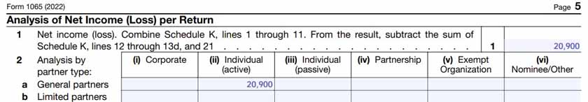 An example of a filled-out IRS Form 1065’s Analysis of Net Income (Loss) per Return.