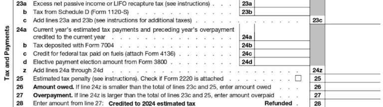 How To Complete Form 1120S & Schedule K-1 (+Free Checklist)