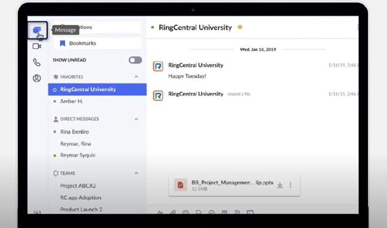 Screenshot of the RingCentral interface where users send private messages or group chats.