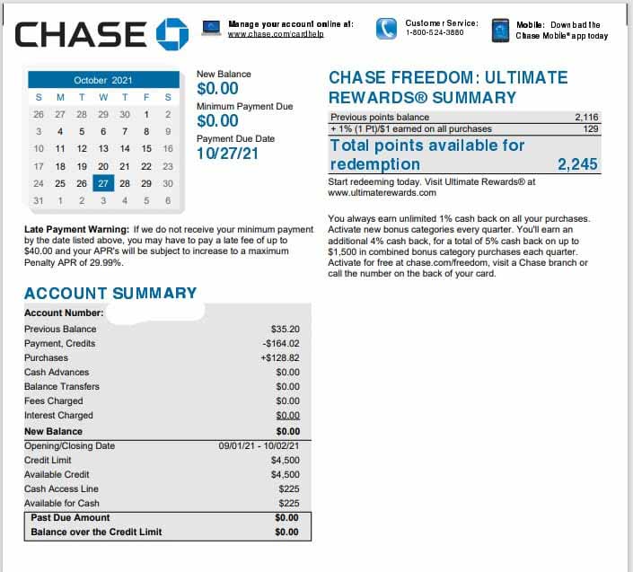 An example of a credit card statement from Chase.