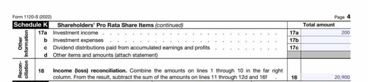 How To Complete Form 1120S & Schedule K-1 (+Free Checklist)