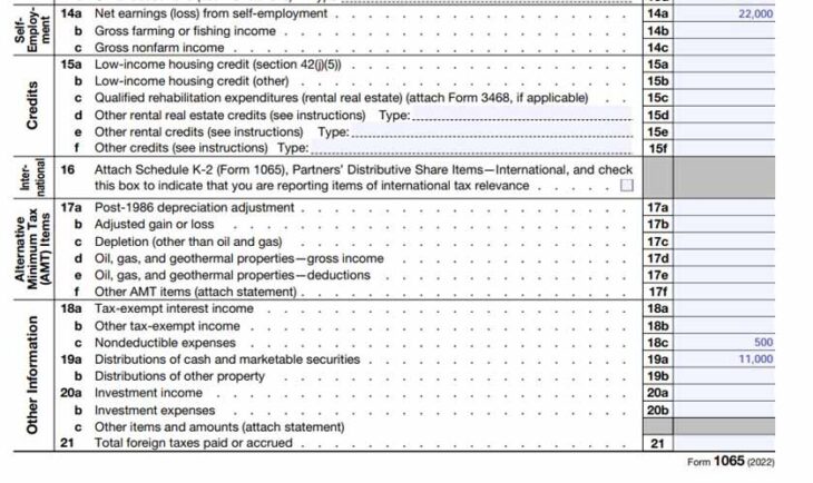 Form 1065 Step-by-Step Instructions (+Free Checklist)