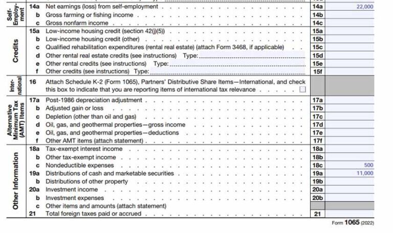 Form 1065 Step By Step Instructions Free Checklist 5126