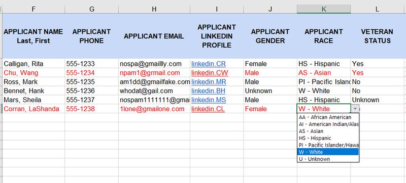 Spreadsheet drop down for applicant race column.