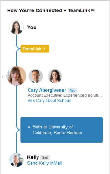 An example of how LinkedIn Sales Navigator users can see their mutual connections using the TeamLink feature.