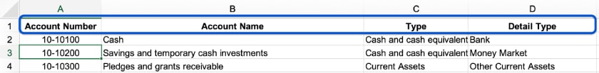 Image showing the column headers in the chart of accounts.
