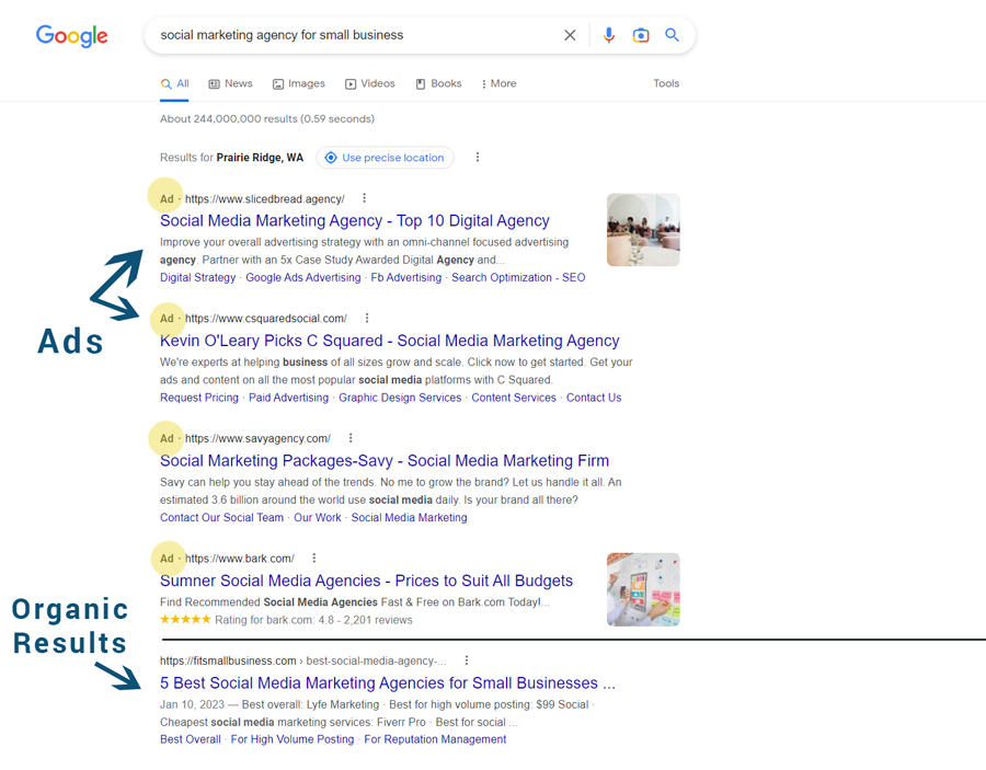 Screenshot of Google search engine results page (SERP) showing organic and paid results.