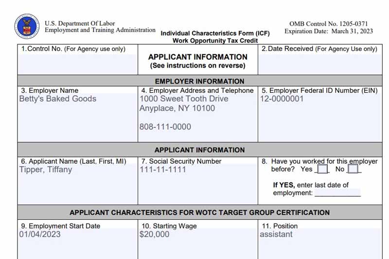 A sample showing IRS Form 9061 completed by an employer.
