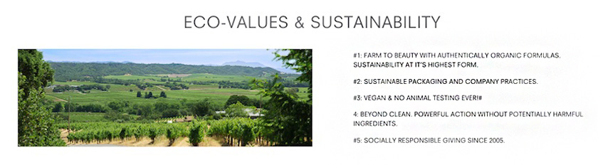 Juice Beauty's core values taken from their website